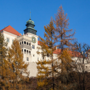 Pieskowa Skala, Zamek Krolewski. EU, PL, Malopolska.